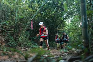 BIB: 
                            <button type="button" onclick="openModal(28025169)" class="btn btn-primary btn-sm float-right btn-popup" data-toggle="modal" data-target=".modal-high-quality">
                        <i class="fas fa-shopping-cart"></i> Add to Cart
                    </button>
                                            <button type="button" onclick="isThisMe(28025169, true)" class="btn btn-success btn-sm float-right btn-popup btn-isme hidden" data-toggle="tooltip" data-placement="bottom" title="นี่คือรูปของคุณใช่ไหม คลิกที่นี่เพื่อเอาเข้าอัลบั้ม">
                        <i class="fas fa-plus"></i> Add to album
                    </button>
                    <button type="button" onclick="isThisMe(28025169, false)" class="btn btn-warning btn-sm float-right btn-popup btn-isnotme hidden">
                        <i class="fas fa-ban"></i> Remove from album
                    </button>